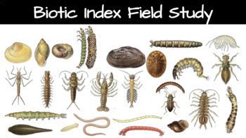 Biotic Index Field Study by Limulus Science TPT