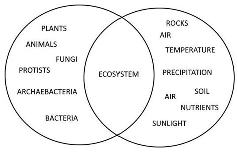 Biotic vs Abiotic Factors Diagram Quizlet