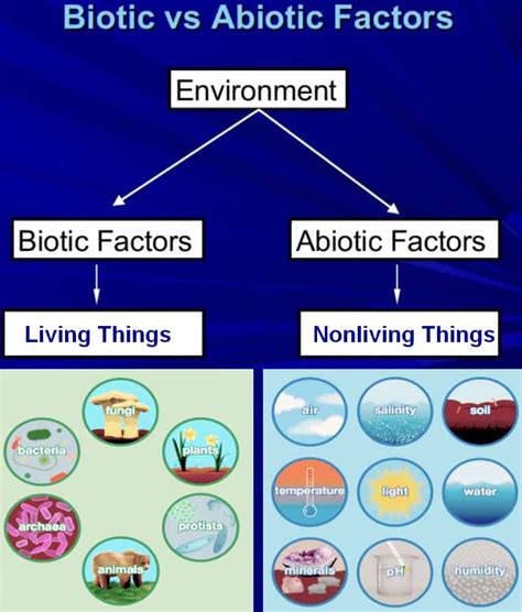 Biotic vs abiotic. Biotic and abiotic components play a key role in balancing the habitats in an ecosystem. While checking the difference between biotic and abiotic components, understand that biotic refers to all the living entities in an ecosystem, whereas abiotic factors relate to non-living things. A few abiotic examples include the physical conditions of an ... 