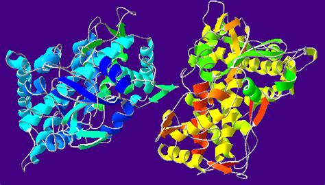 Biotransformation: Prodrugs and Cytochrome P450 and its