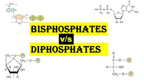 Biphosphate Definition & Meaning YourDictionary