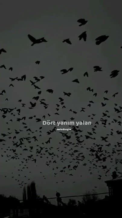 Bir dünya gözümde , her kıta silik. WhatsApp durumuna bunu.