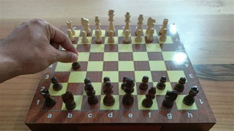 Bir kişilik satranç oyunu