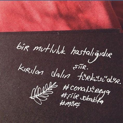 Bir mutluluk hastalığıdır şiir. Kırılan dalın türküsüdür. Cemal.