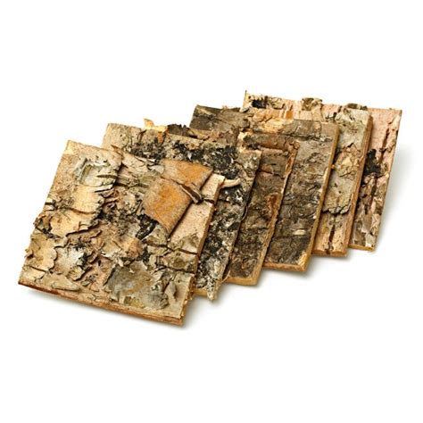 Birch Bark Plates Aquasabi - Aquascaping Shop