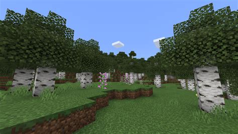 Birch Forest in Minecraft