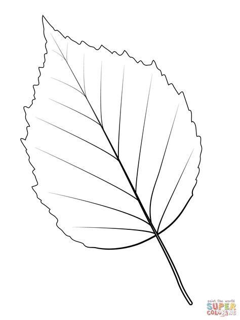 Birch Leaf Pattern