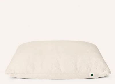 Birch Organic Pillow Raymour & Flanigan