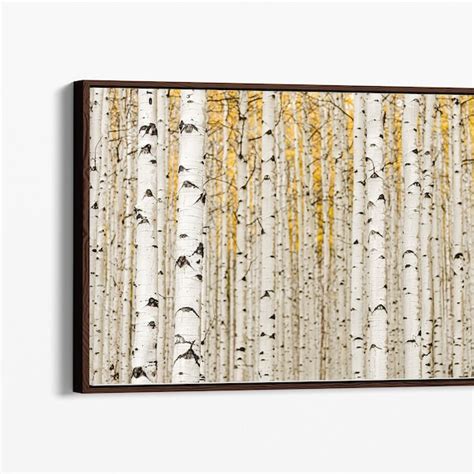 Birch Tree Framed Art - Etsy