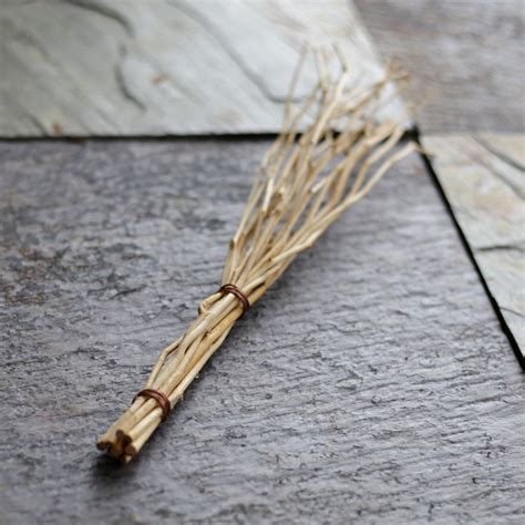 Birch Twig Whisk – Townsends