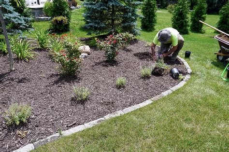 Birchcrest Tree and Landscape Rochester NY - Tree Service, Landscaping …