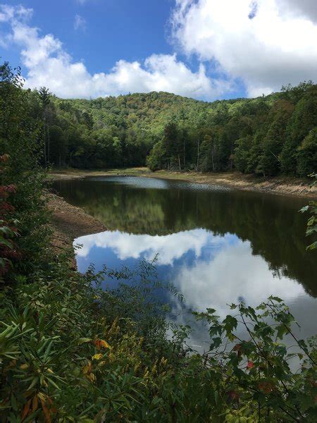 Birchfield Lake Lollipop Mountain Bike Trail, Flag Pond, Tennessee