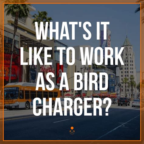 Bird - Become a charger today! Join the Charger team... Facebook