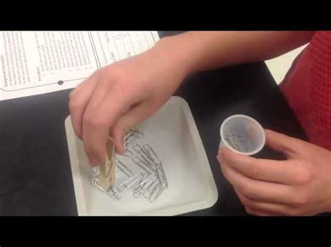 Bird Beaks (Clothespin) - YouTube