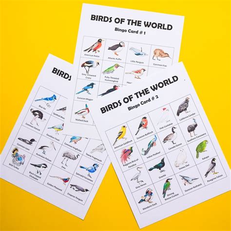 Bird Bingo Adventure in a Box