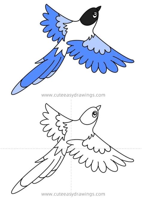 Bird Coloring Pages How to Draw a Flying Bird, How to Draw a Bird