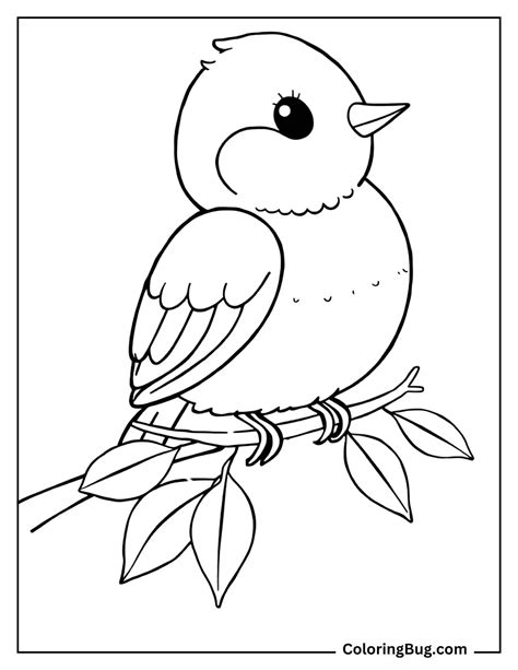 Bird Coloring Shee