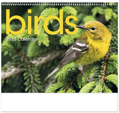 Bird Desk Calendar