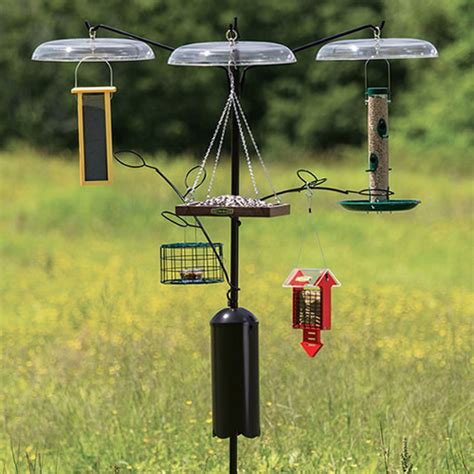 Bird Feeder Station with Baffle Costco