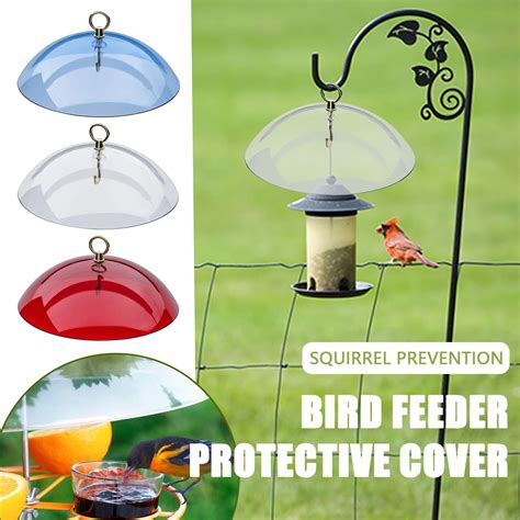 Bird Feeder Weather Guard Dome Wayfair