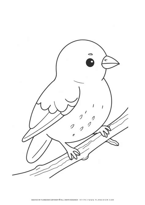 Bird For Coloring