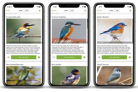 Bird ID Wizard Step by step Answer three simple questions about a bird