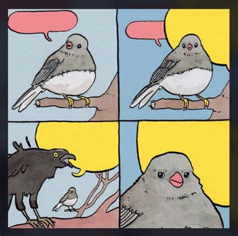 Bird Meme Template