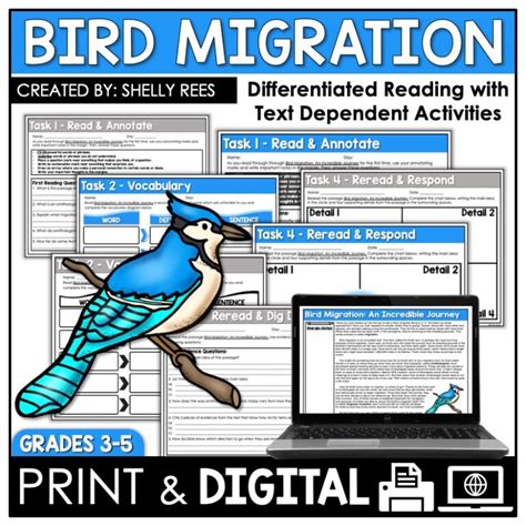 Bird Migration Lesson Plan Study.com