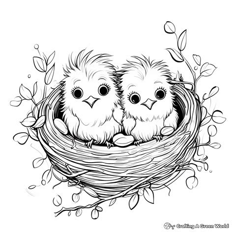 Rose Adult Coloring Pages