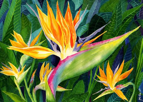 Bird Of Paradise Painting