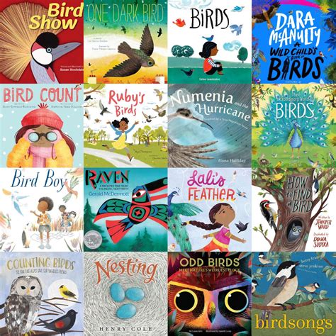 Bird Picture Book