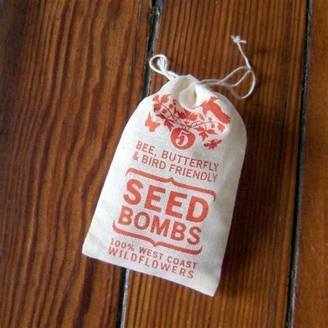 Bird Seed Bomb - Etsy