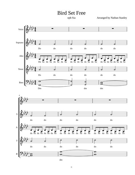 Bird Set Free - Sheet Music Plus