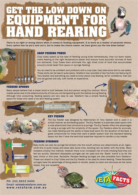 Bird Training and Hand Rearing - Tips & Advice VetBabble