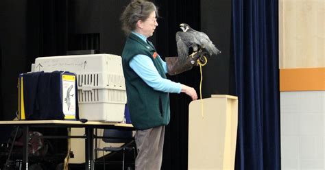 Bird Treatment and Learning Center