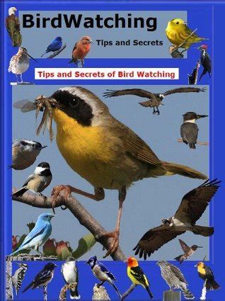 Bird Watching Tips And Secrets