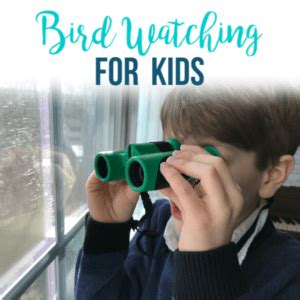 Bird Watching for Kids - Resource Guide - Happy Strong Home