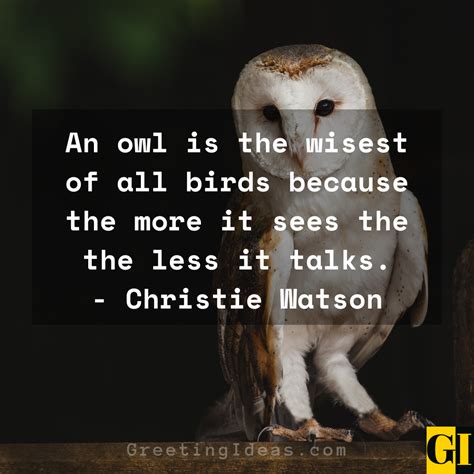 Bird Wisdom Quotes