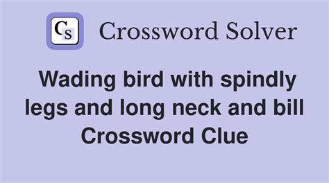 Bird bill - crossword puzzle clue