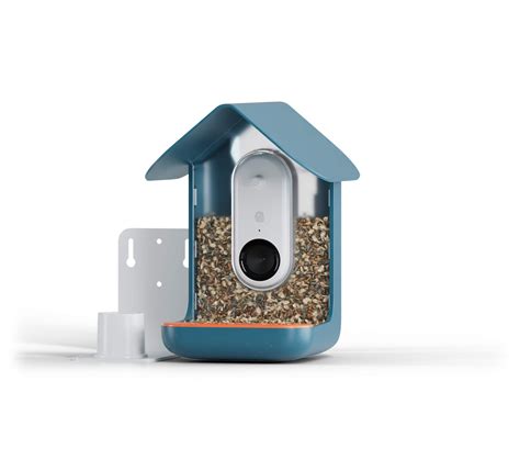  Maybe about 2 or 3 a day and all sparrows despite other species visiting. I wound up buying a squirrel buster feeder (I do have a squirrel problem) and stand alone birdfy camera and have been getting non stop action. It even captures birds on the bird buddy and what do you know, no post cards. Am I doing something wrong? . 