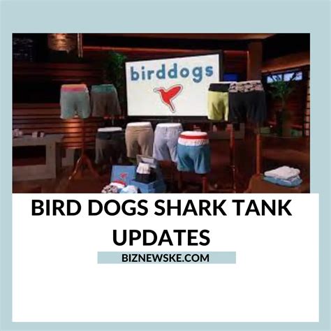 Aug 3, 2023 · The men's clothing brand Birddogs is known for its shorts and pants with built-in underwear and its tongue-in-cheek approach to marketing. The brand was featured on Shark Tank back in 2018 and has ...