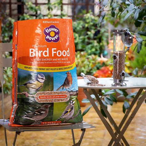 Bird food near me. Wild & Domestic Bird Food & Accessories. Tesco Wild Bird Everyday Seed Mix 12.5Kg. Back to Wild & Domestic Bird Food & Accessories. Tesco Wild Bird Everyday Seed Mix 12.5Kg. 4.2 (38) Write a review. £9.65. £0.77/kg. Quantity controls. Quantity of Tesco Wild Bird Everyday Seed Mix 12.5Kg. Add. 