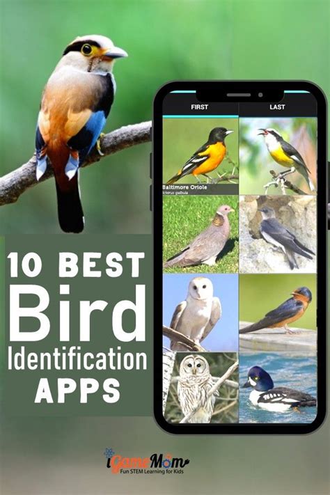 The Bird Finder allows you to search, browse or find information abo
