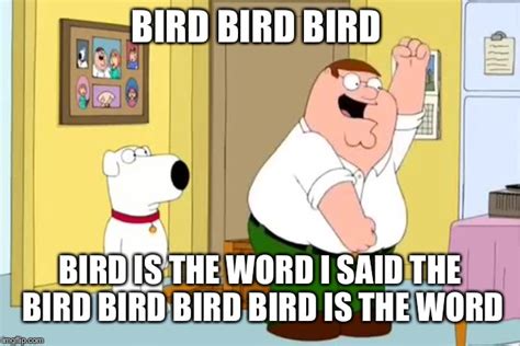 Bird is the word. Things To Know About Bird is the word. 