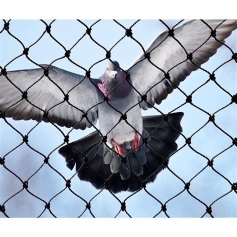 Bird netting menards. Our Products. Bird-X makes three types of plastic netting for bird pests: standard, heavy duty/structural and premium. Our standard netting comes in two sizes, 14×100’ or 14×200’, and has a ¾” mesh size. Structural netting comes in the same sizes but has a tighter ½” mesh size. Our Premium grade netting comes in a larger variety of ... 