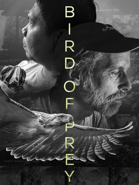 codini.rgarabwor.edu.pl. 