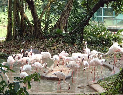 Bird sanctuary near me. The Bird Sanctuary is surrounded on all sides by backyards and is, essentially, a backyard. However, it’s designated as a wildlife area. It consists of several paths, birdfeeders, benches, and ... 
