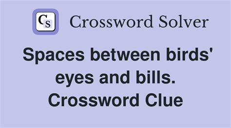 Bird with a big bill Crossword Clue Answers