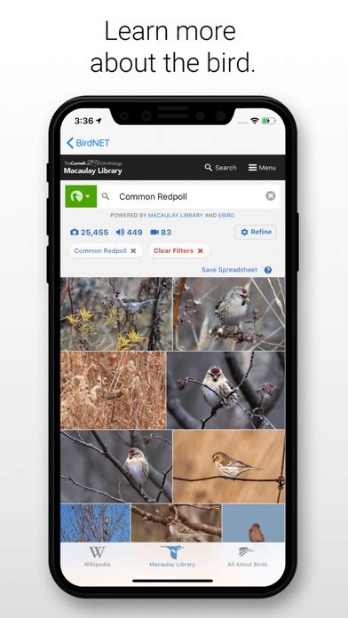 BirdNET Review EducationalAppStore