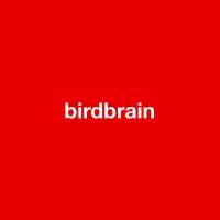 Birdbrain LinkedIn